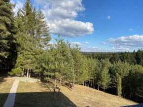 Sarajevo Nisici Vila Nature